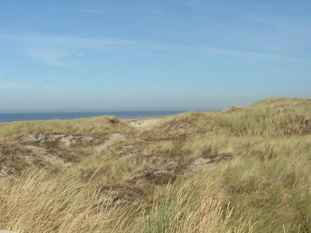 Appartement Huize De Weijde Blick à Wijk aan Zee Extérieur photo